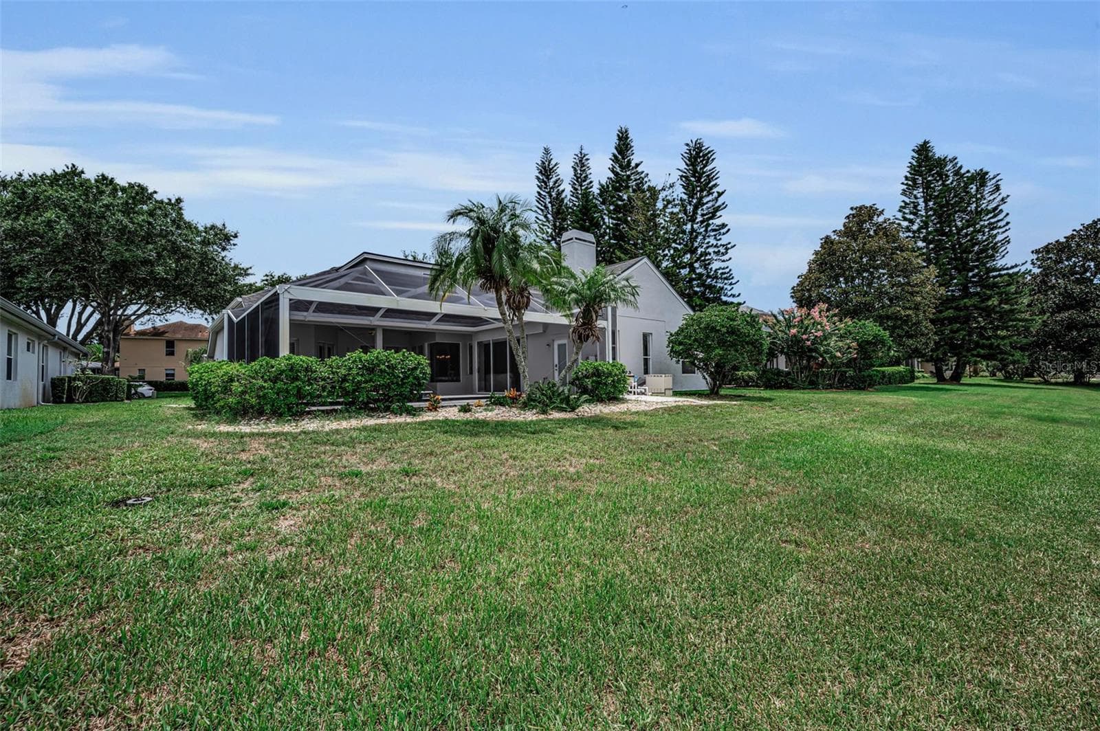 Backyard - 4084 LIGUSTRUM DR, PALM HARBOR