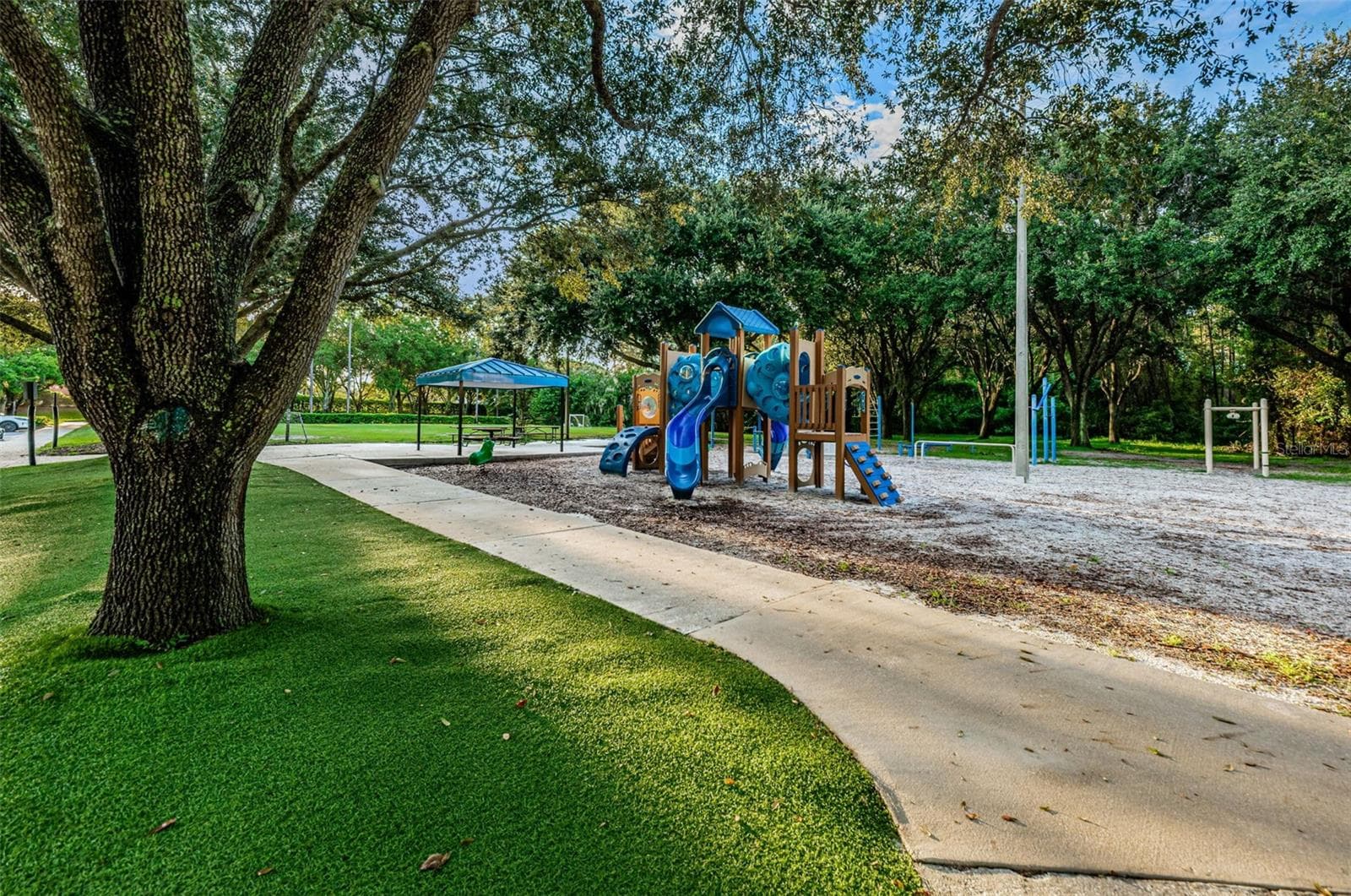 Playground at Lansbrook Commons Park - 4084 LIGUSTRUM DR, PALM HARBOR