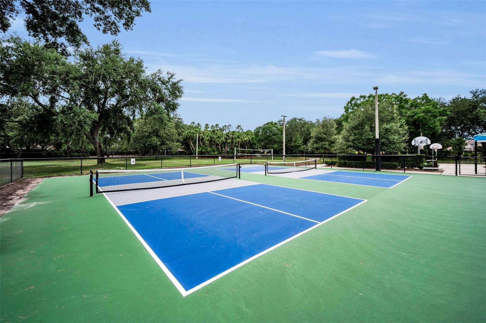 New fenced in pickleball courts at Commons Park - 4084 LIGUSTRUM DR, PALM HARBOR
