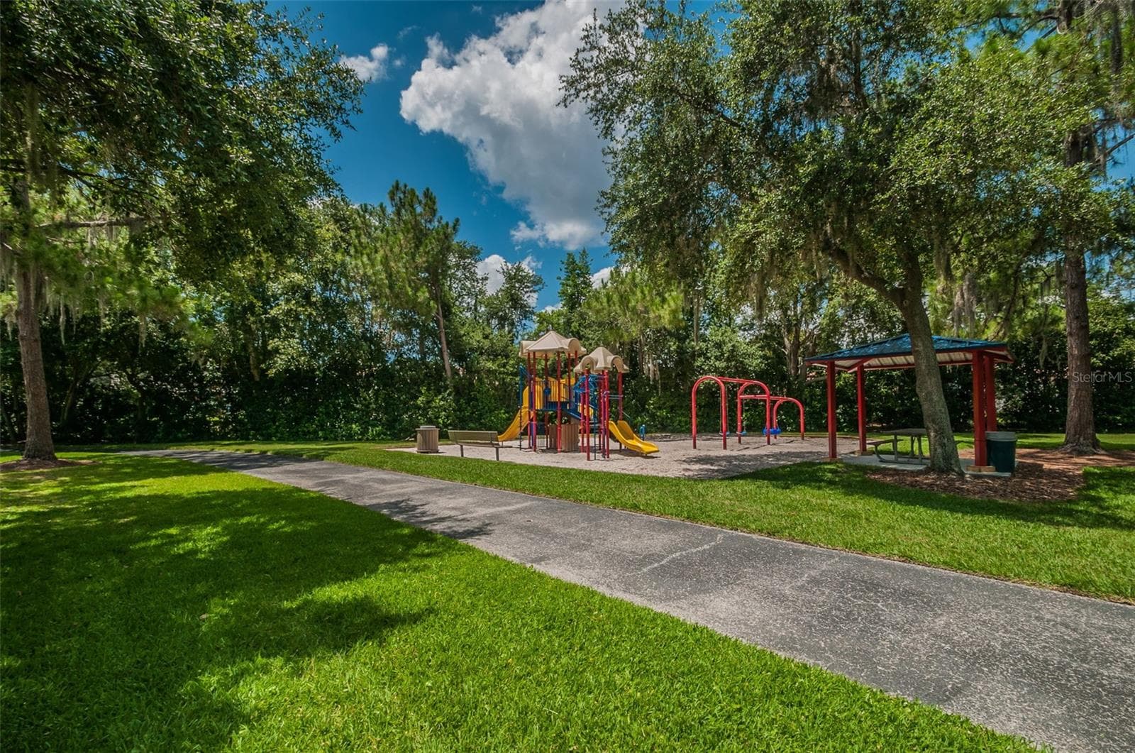 Playground at Commons Park - 4084 LIGUSTRUM DR, PALM HARBOR