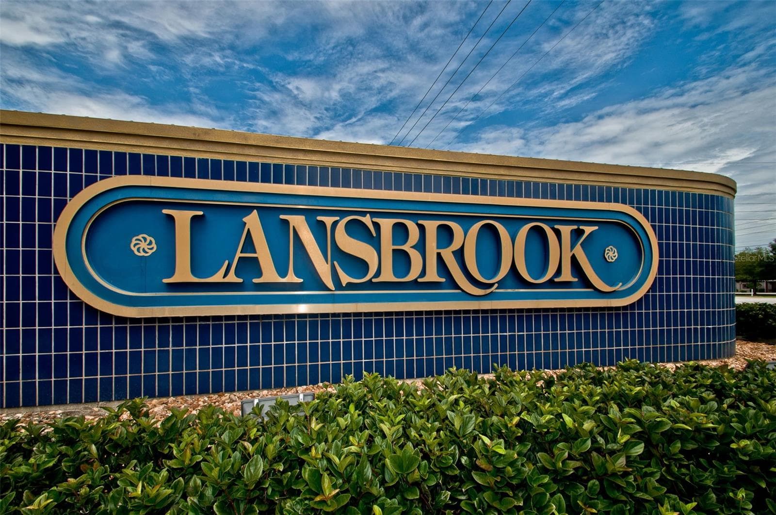 Lansbrook - 4084 LIGUSTRUM DR, PALM HARBOR