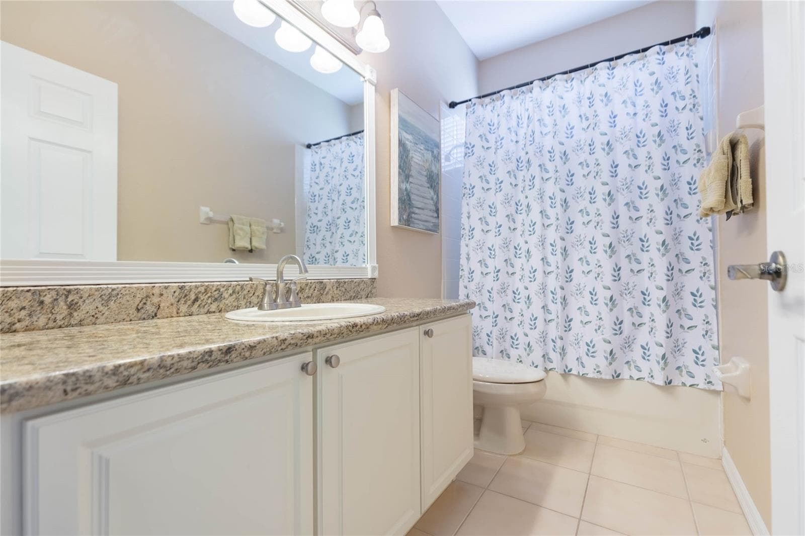 Guest bath 1 - 18018 JAVA ISLE DR, TAMPA