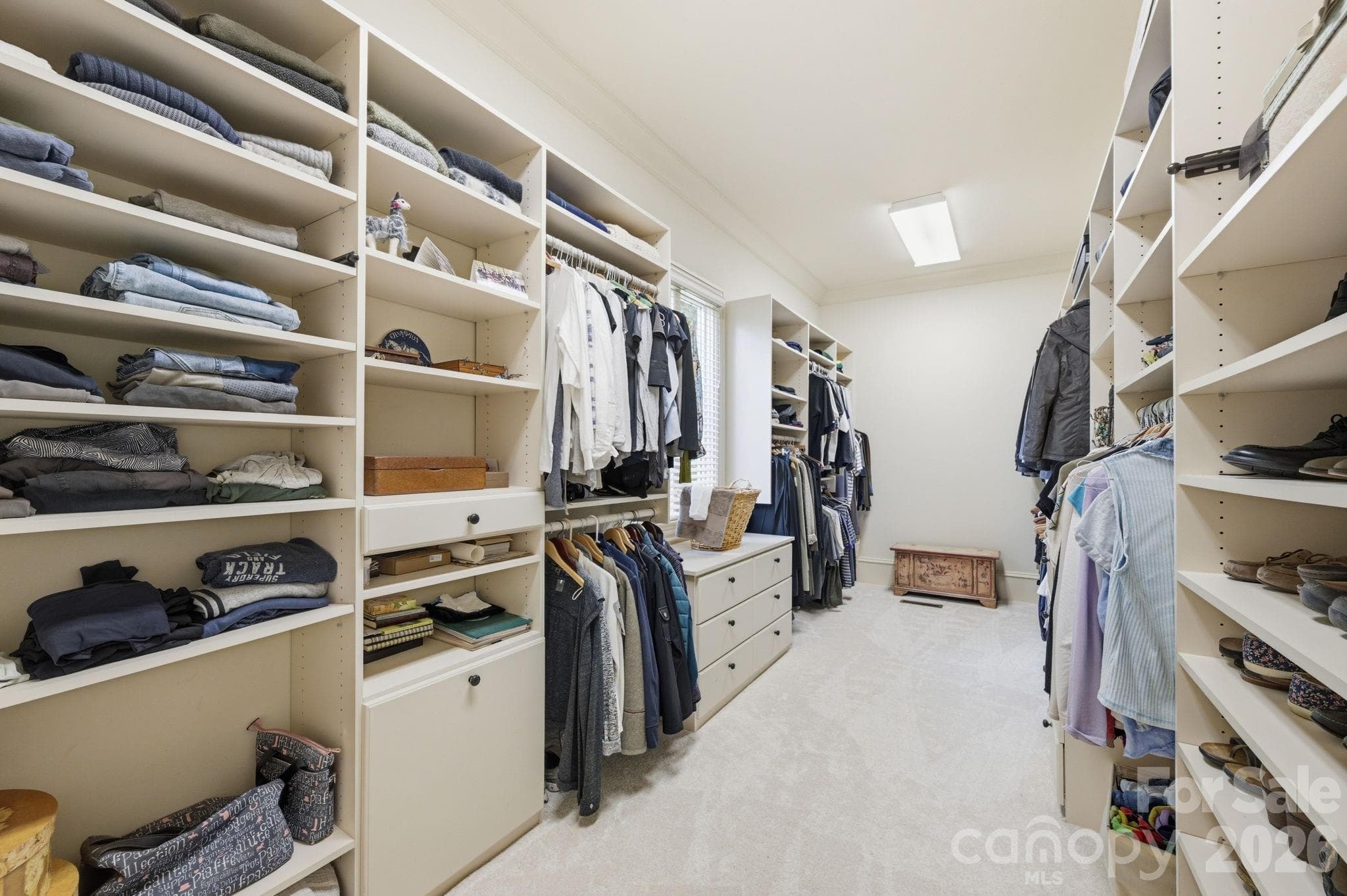 Large walk-in closet w/new carpet, laundry hamper, built-in dresser - 8528 Waxhaw Creek Road, Waxhaw