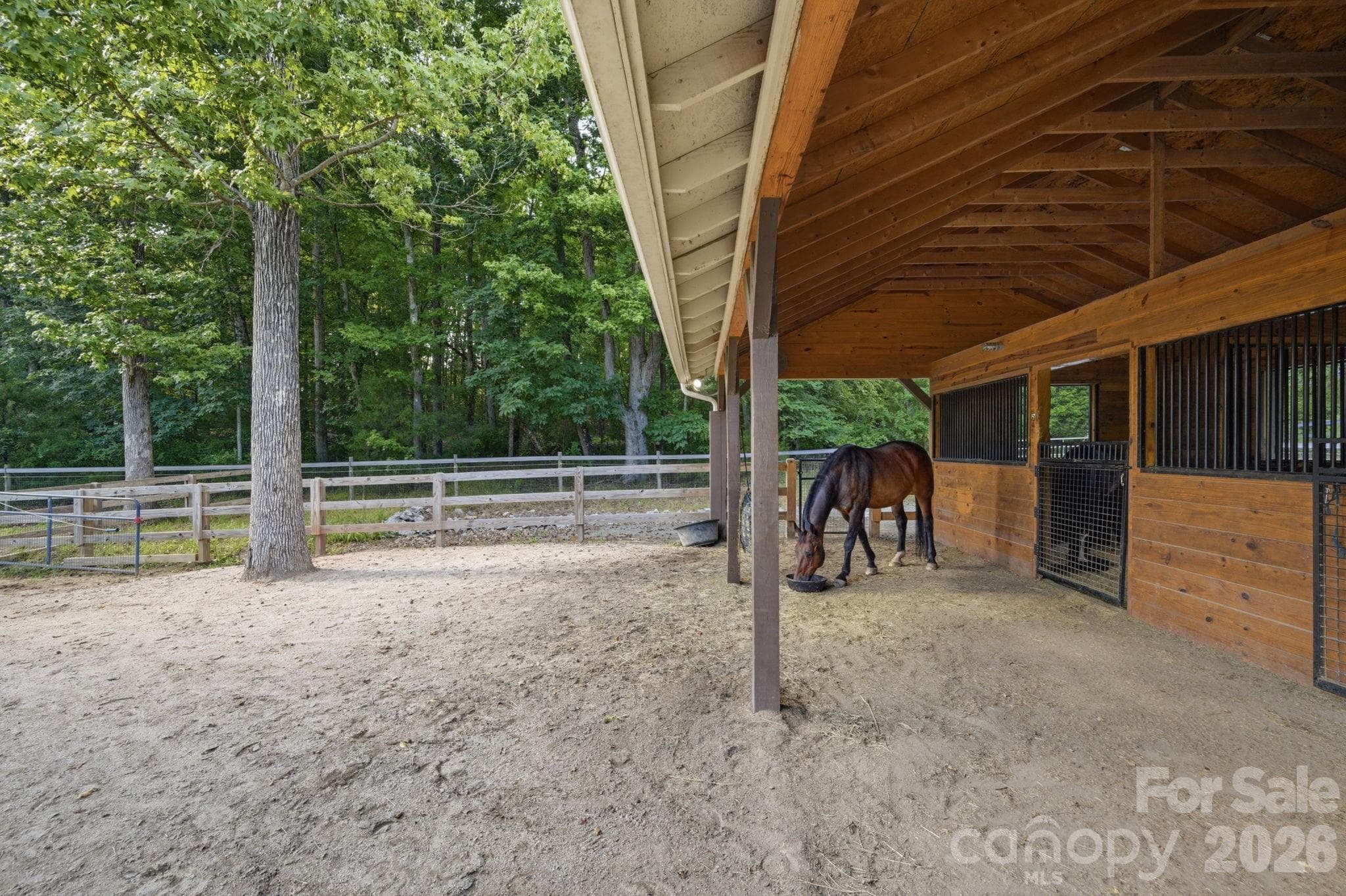 Stalls open to covered lean to and dry lot - 8528 Waxhaw Creek Road, Waxhaw