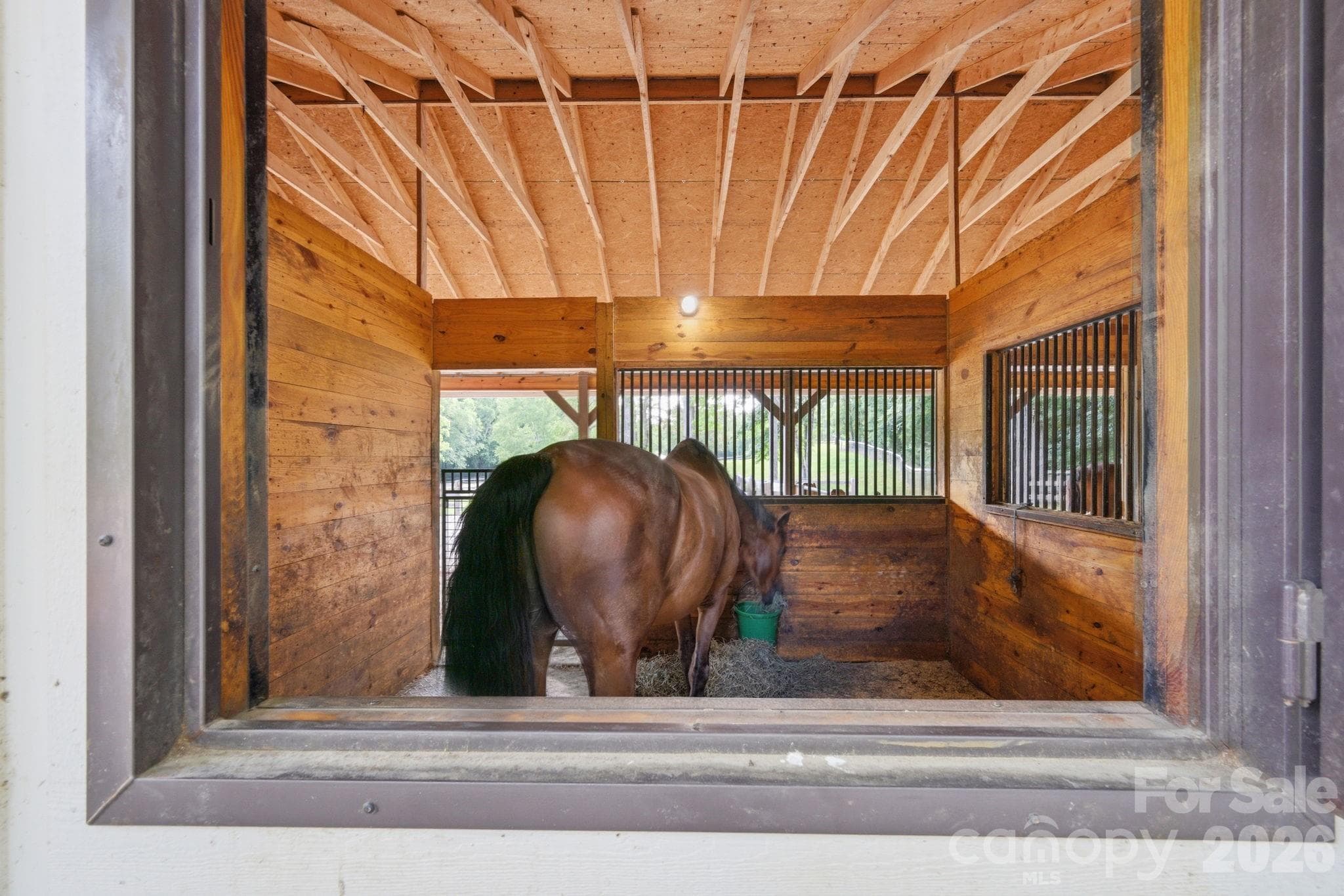Stall mats, large exterior windows, great cross breezes - 8528 Waxhaw Creek Road, Waxhaw