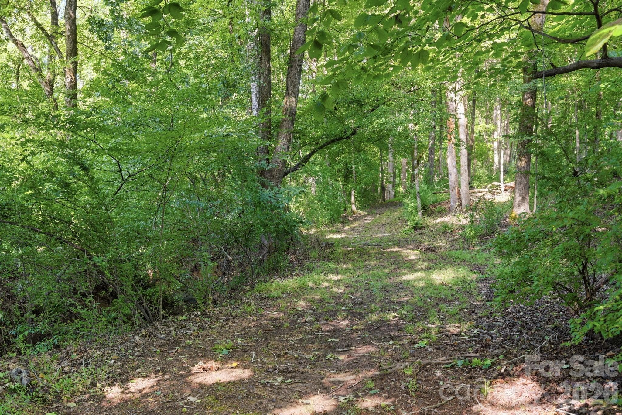 Enjoy a trail ride with neighbors or take your dogs on a walk in the shade - 8528 Waxhaw Creek Road, Waxhaw