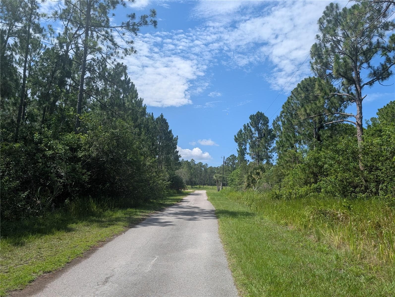 Land at 30 AMARYLLIS DR, INDIAN LAKE ESTATES, photo 10 of 46