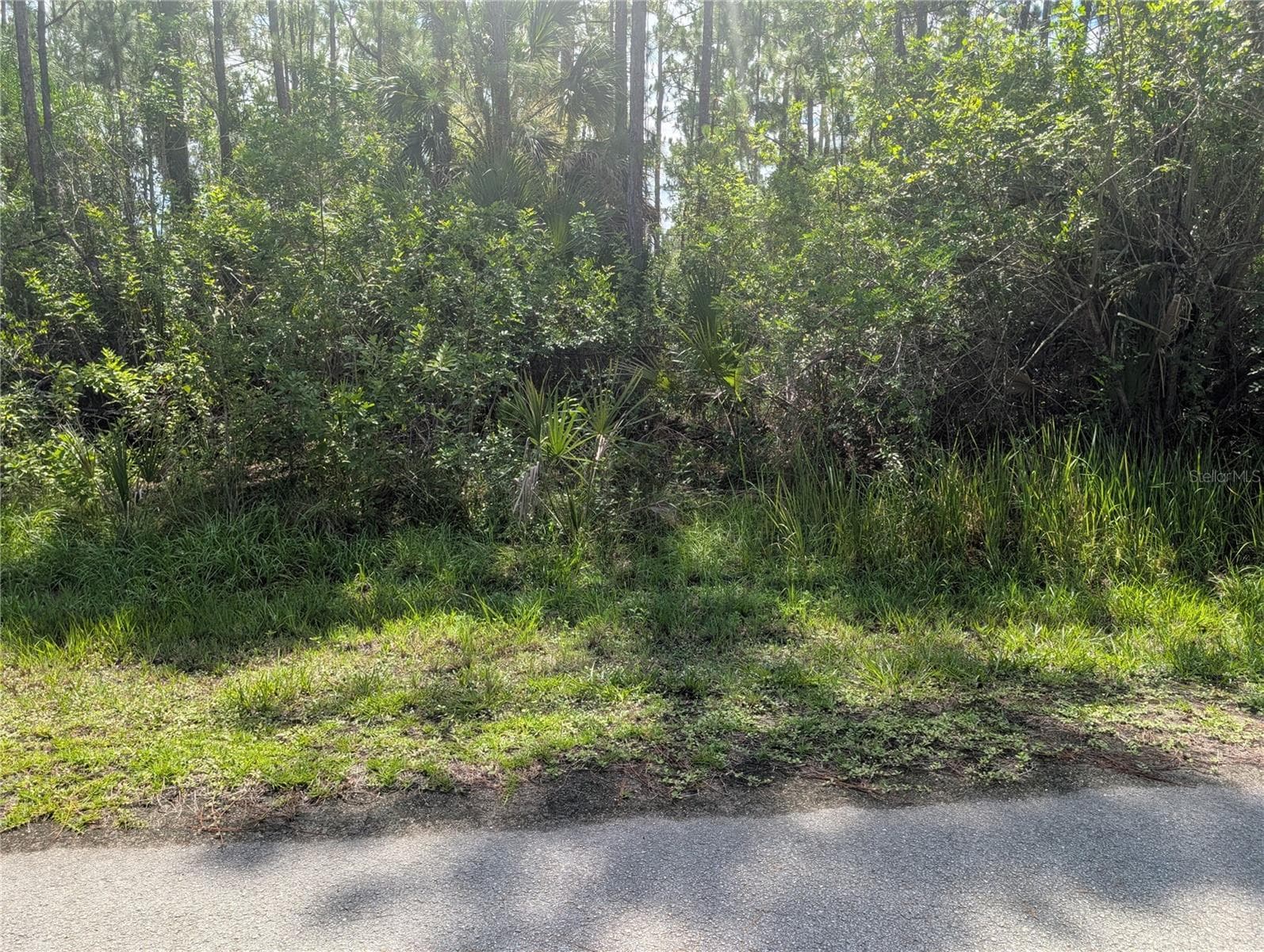 Land at 30 AMARYLLIS DR, INDIAN LAKE ESTATES, photo 11 of 46