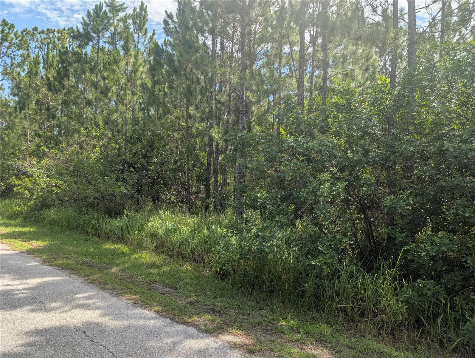 Land at 30 AMARYLLIS DR, INDIAN LAKE ESTATES, photo 12 of 46