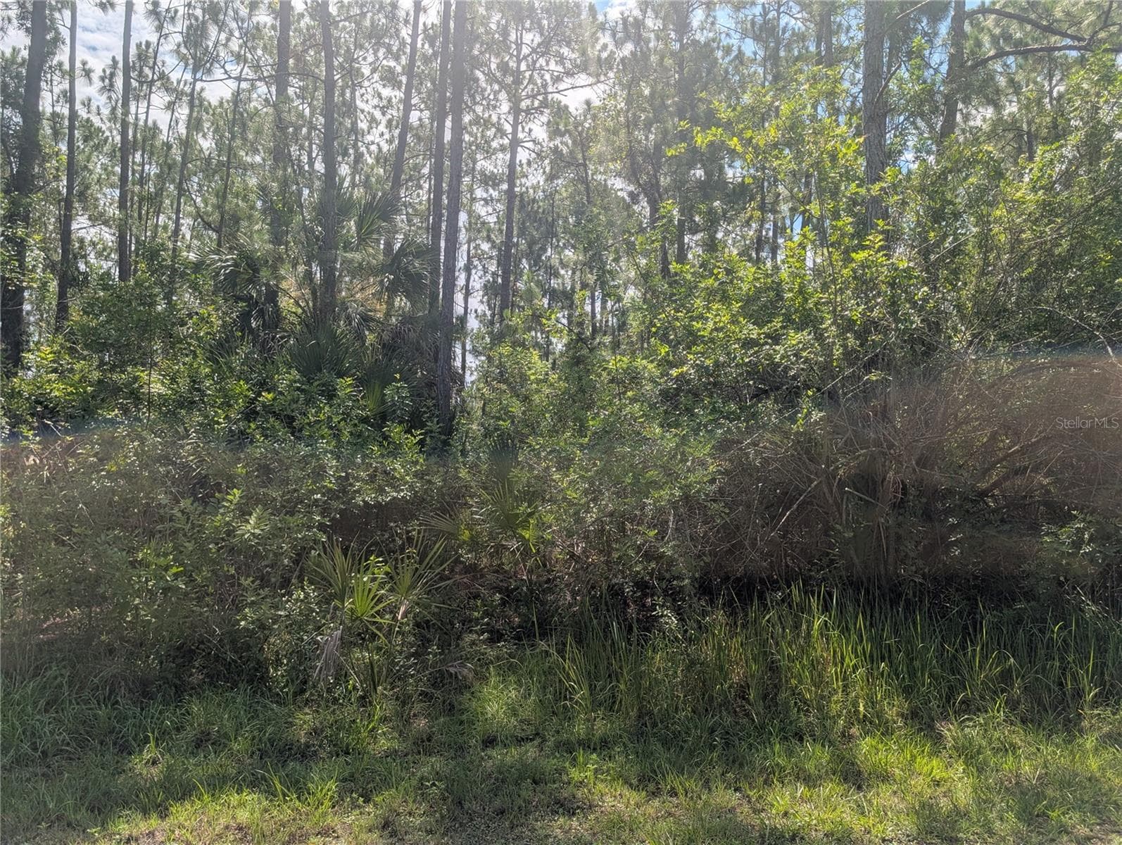 Land at 30 AMARYLLIS DR, INDIAN LAKE ESTATES, photo 14 of 46
