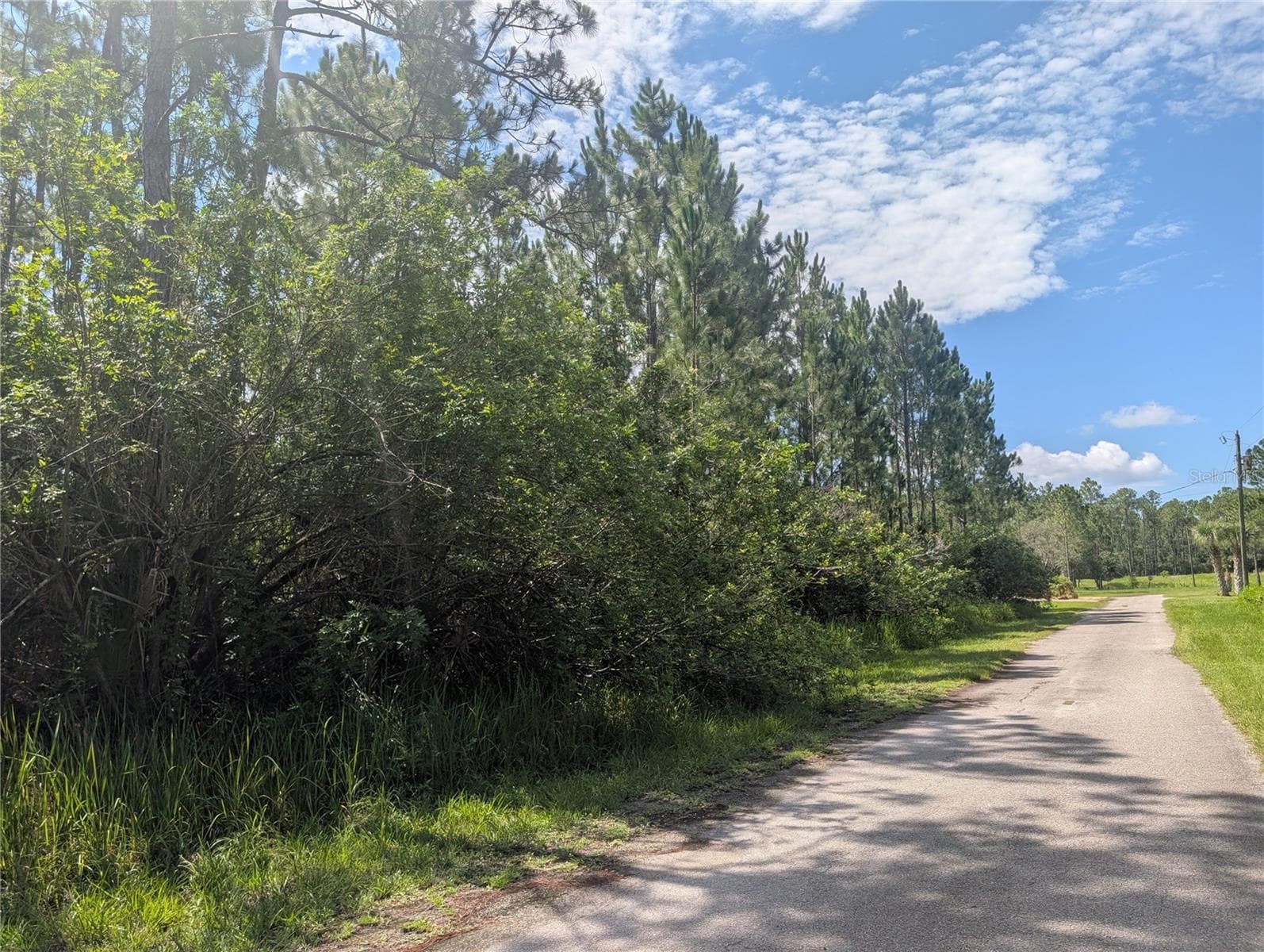 Land at 30 AMARYLLIS DR, INDIAN LAKE ESTATES, photo 15 of 46