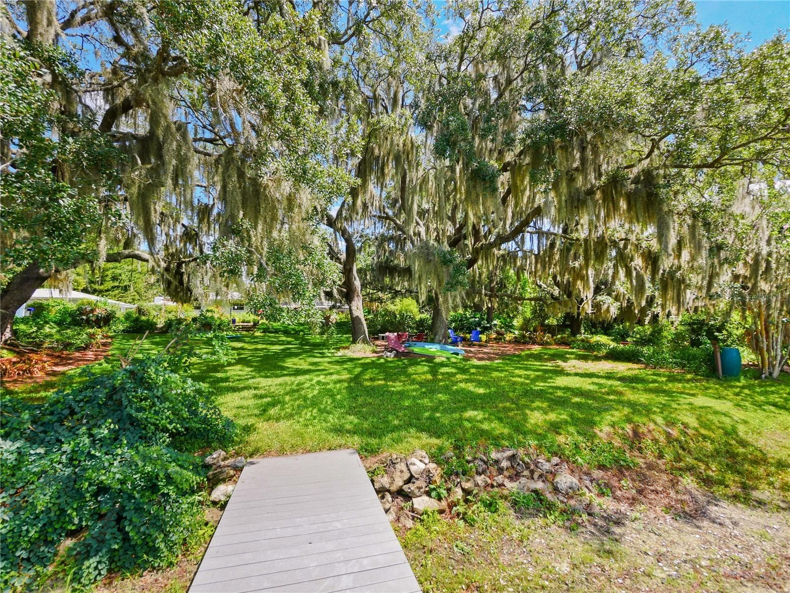 BACKYARD LIVE OAK TREES - 5701 CROSS FOX LN, OVIEDO