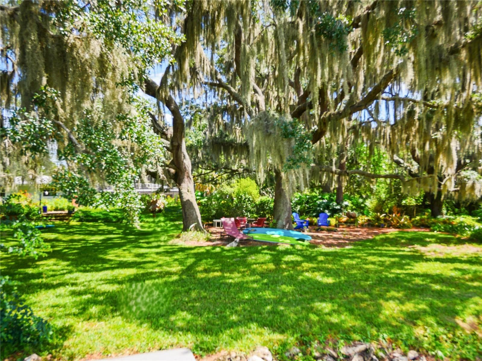 LARGE LIVE OAKS - 5701 CROSS FOX LN, OVIEDO