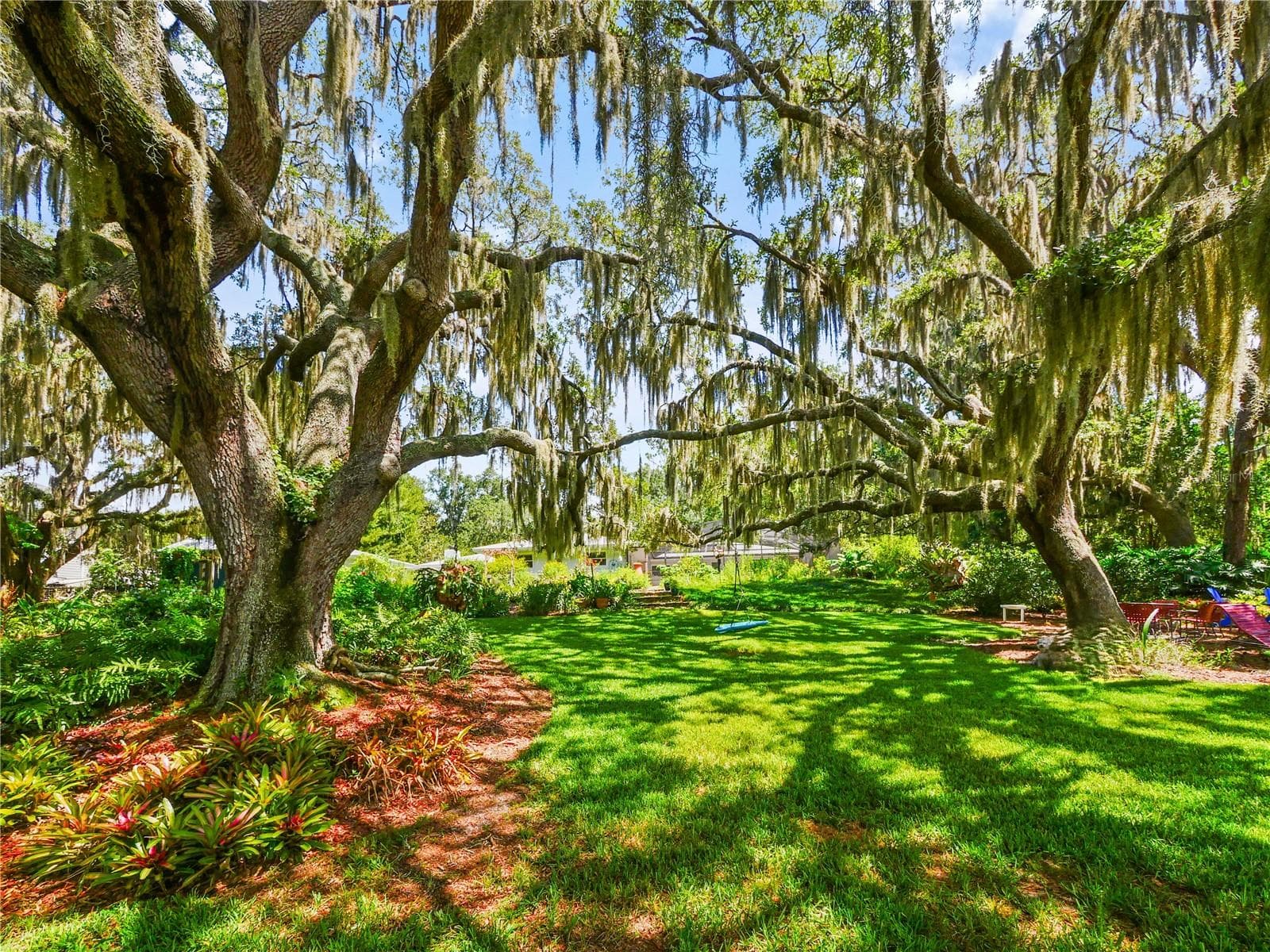 MASSIVE LIVE OAKS / BACKYARD - 5701 CROSS FOX LN, OVIEDO