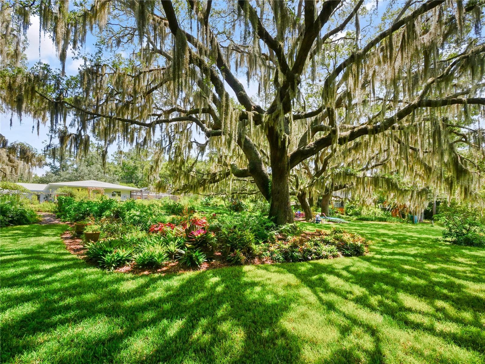 ACRES OF MAJESTIC LIVE OAKS - 5701 CROSS FOX LN, OVIEDO
