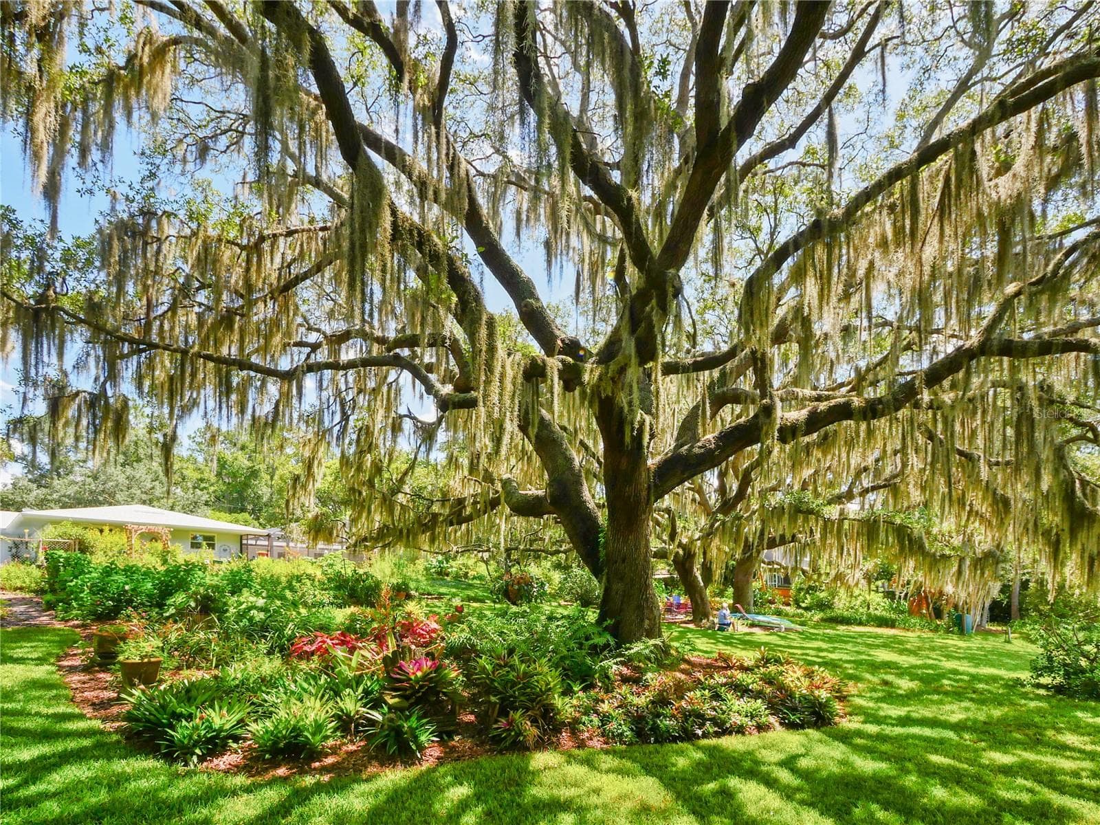 AMAZING BACKYARD VIEWS WITH LIVE OAKS - 5701 CROSS FOX LN, OVIEDO