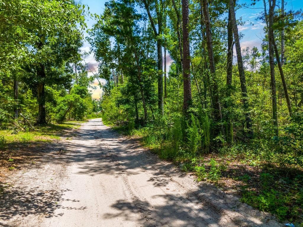 Land at 7679 NW 28TH ST, JENNINGS, photo 2 of 16