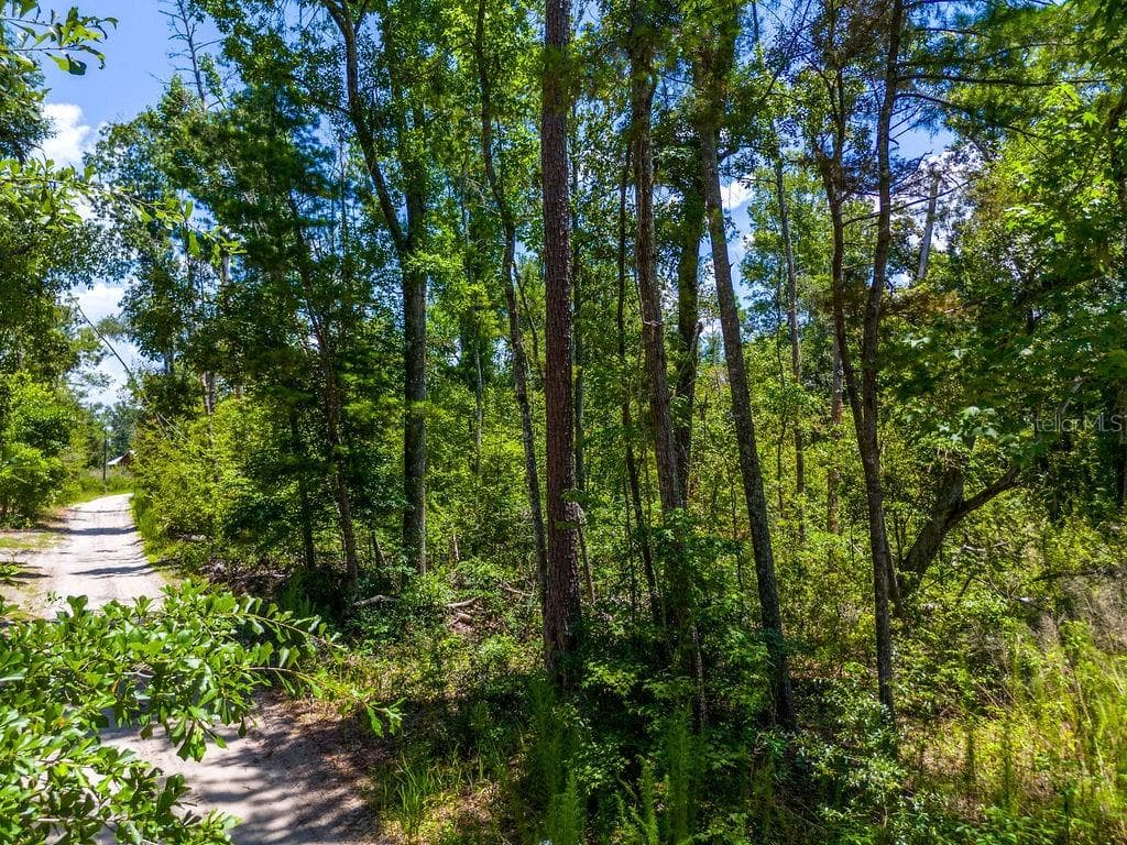 Land at 7679 NW 28TH ST, JENNINGS, photo 6 of 16