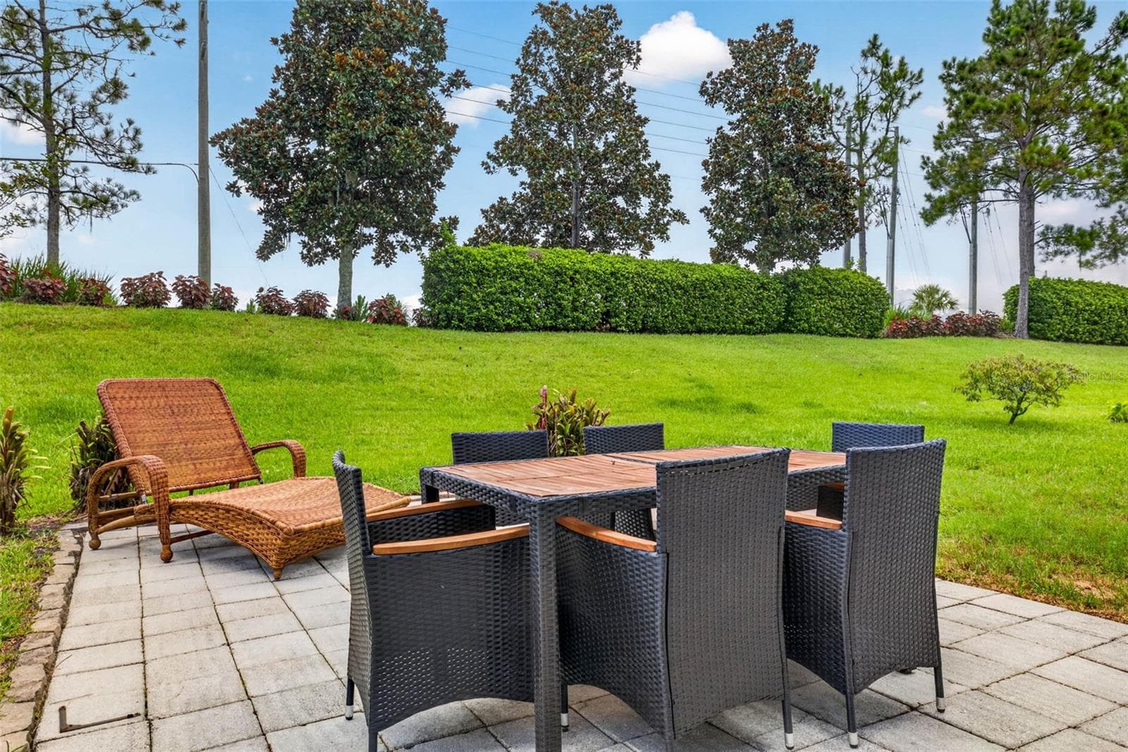 Your outdoor living space has extended patio and great landscaped views - 7360 BRIDGEVIEW DR, WESLEY CHAPEL