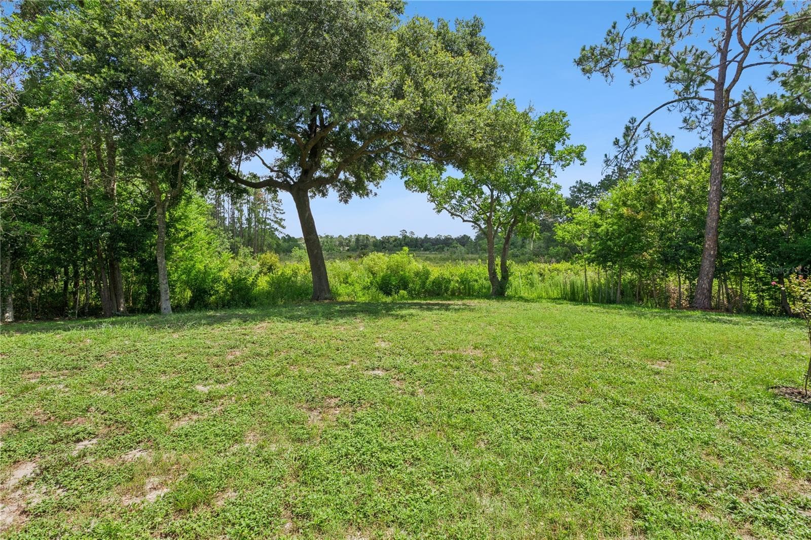 Oversized lot, .37 acre - 32 GORDON CT, LEESBURG