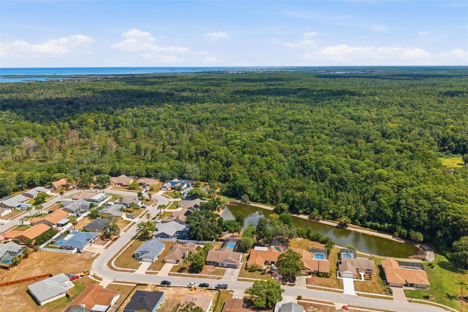 Aerial View - 10110 BRIAR CIR, HUDSON