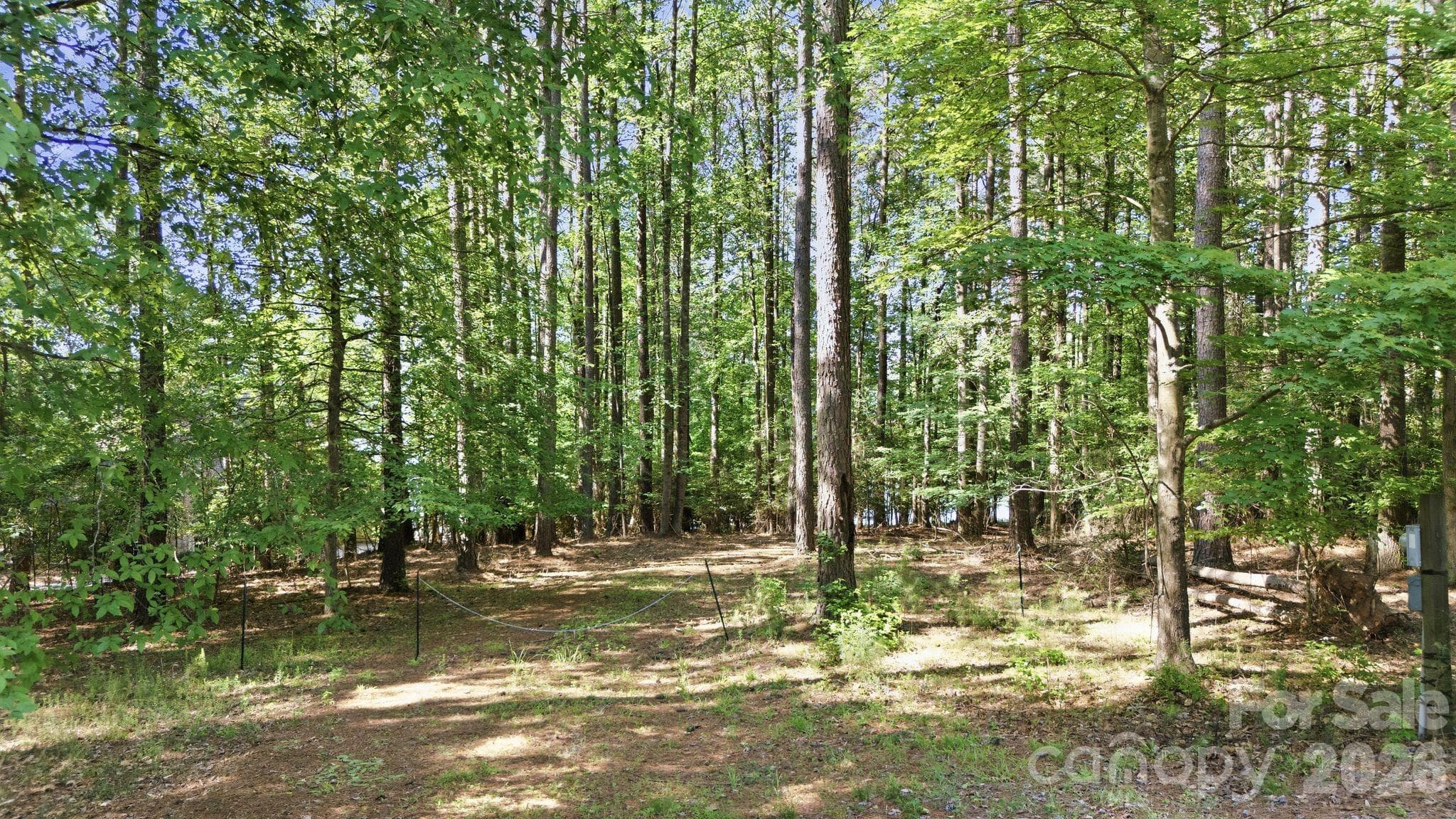 GentlySloping lot down to the water - 161 Eagle Chase Lane, Troutman
