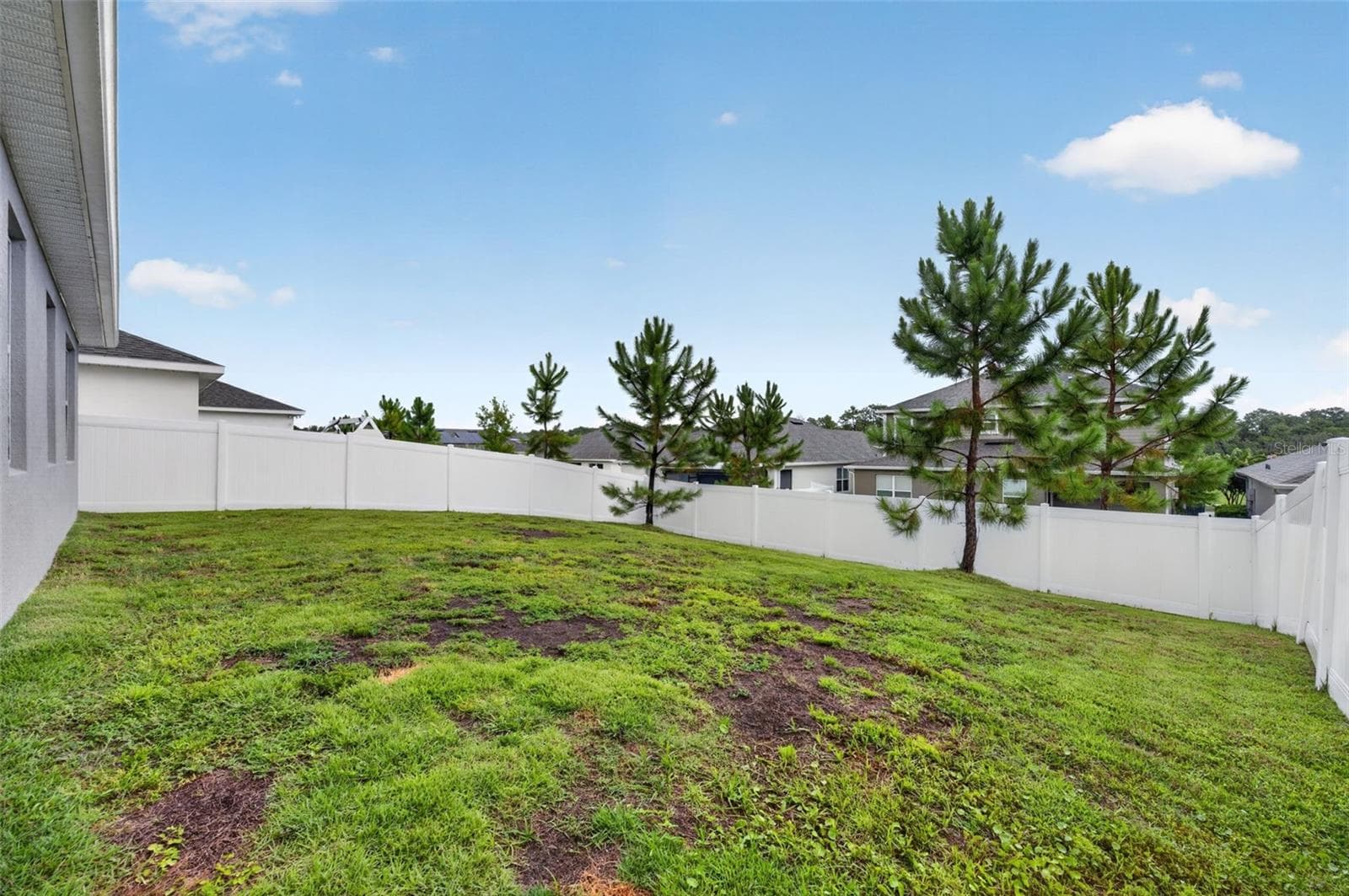 Single Family Residence at 2340 SIRENA LN, MOUNT DORA, photo 41 of 64