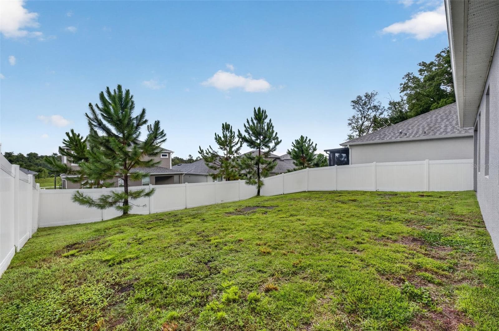 Single Family Residence at 2340 SIRENA LN, MOUNT DORA, photo 42 of 64