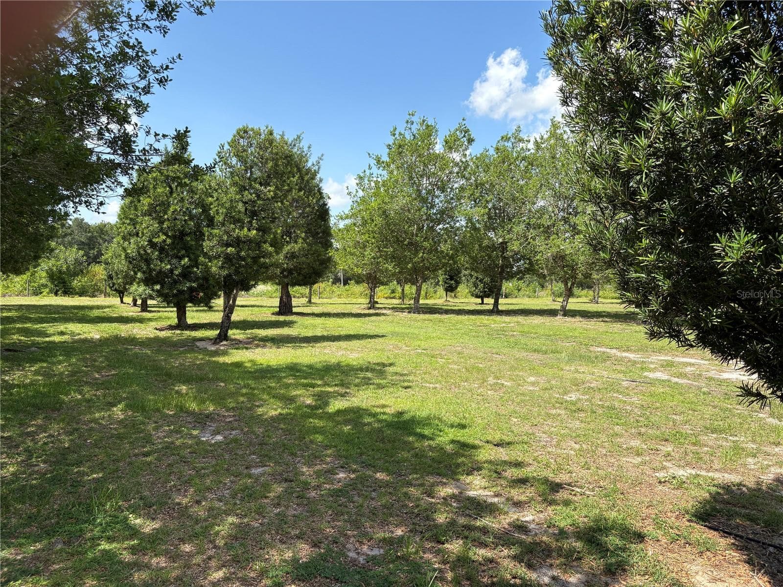 Agriculture at 1238 S US 301, SUMTERVILLE, photo 15 of 36