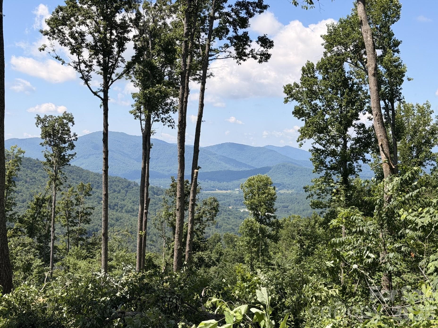 Now with AMAZING long range mountain views! - 588 Long Branch Road, Swannanoa