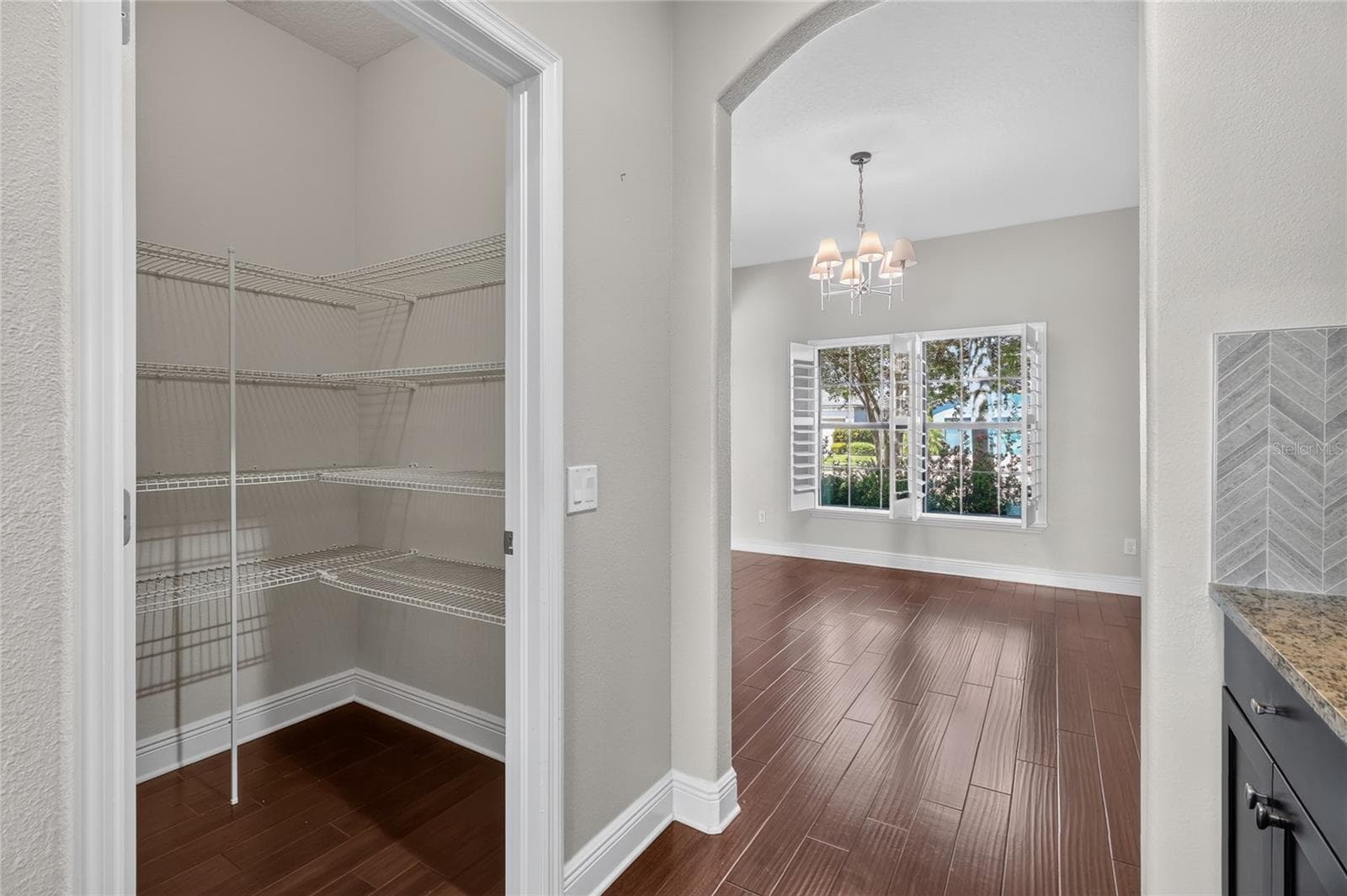 Single Family Residence at 1806 NATURE VIEW DR, LUTZ, photo 35 of 93