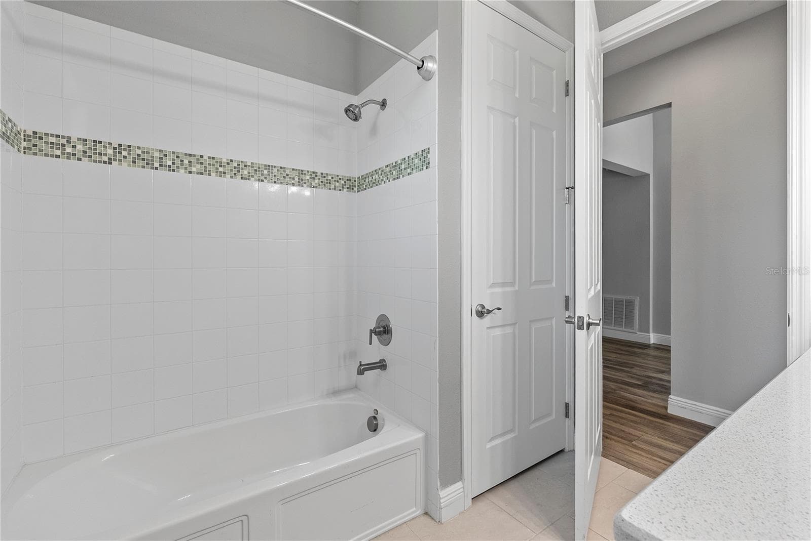Single Family Residence at 8113 BRIDGEPORT BAY CIR, MOUNT DORA, photo 20 of 37