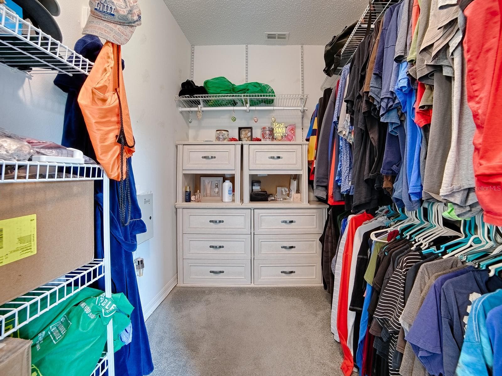 Large Walk In Closet - 3851 MANOR OAKS CT, LEESBURG