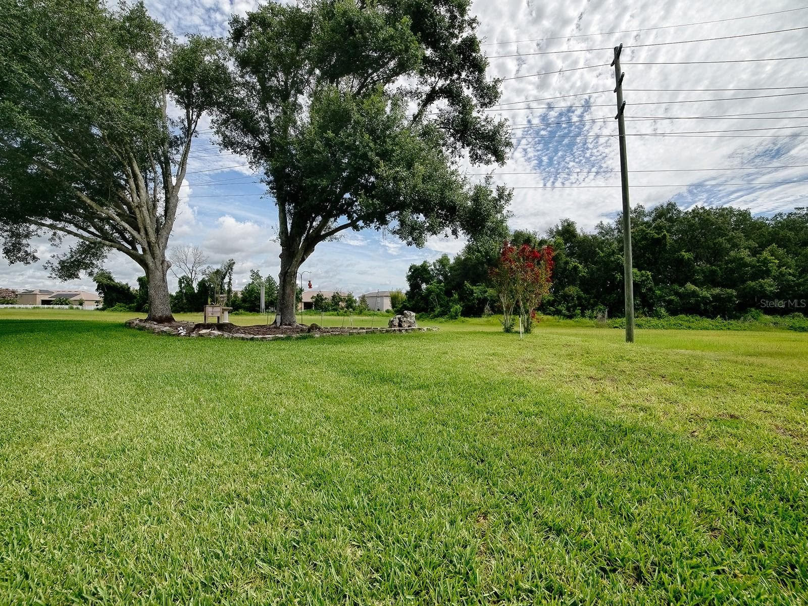 Check out your private backyard - 3851 MANOR OAKS CT, LEESBURG