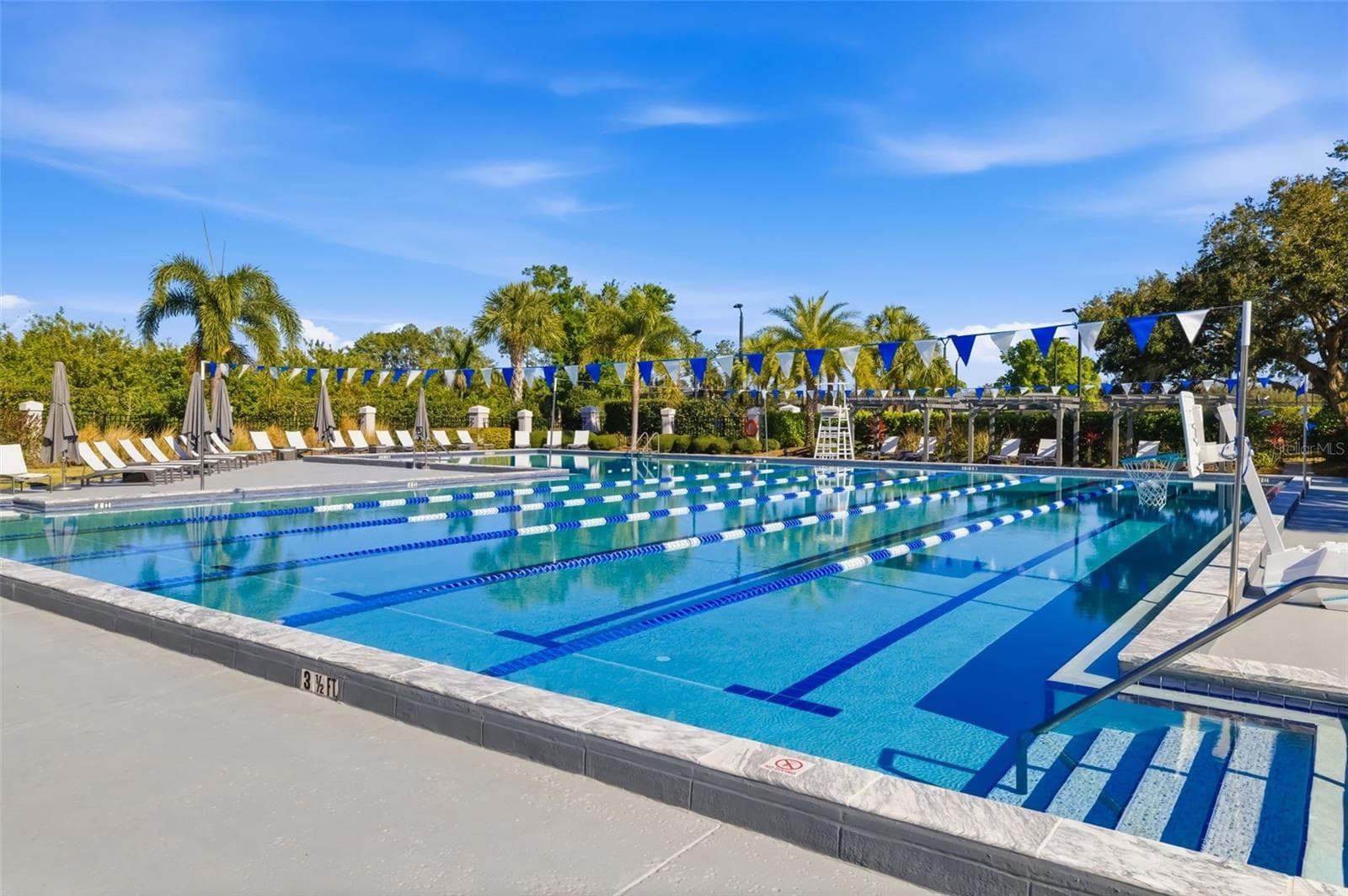 Jr Olympic heated pool - 2528 TOM MORRIS DR, SARASOTA