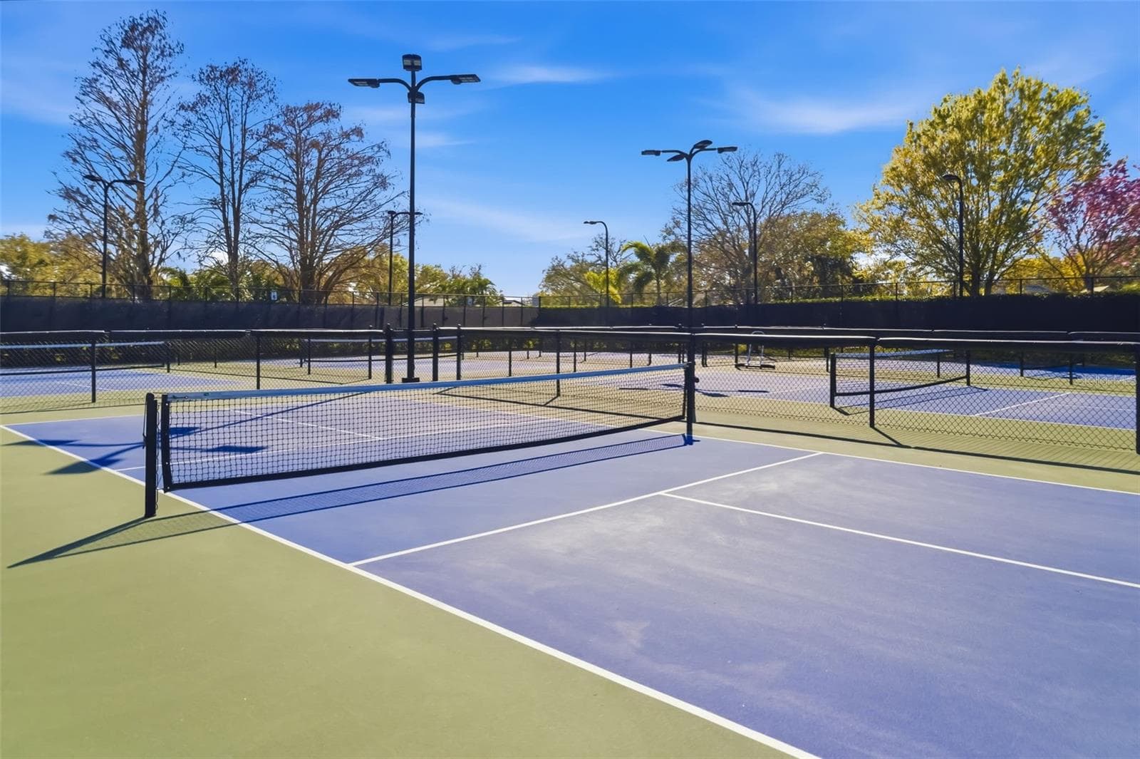 Pickleball anyone? Active groups & events - 2528 TOM MORRIS DR, SARASOTA