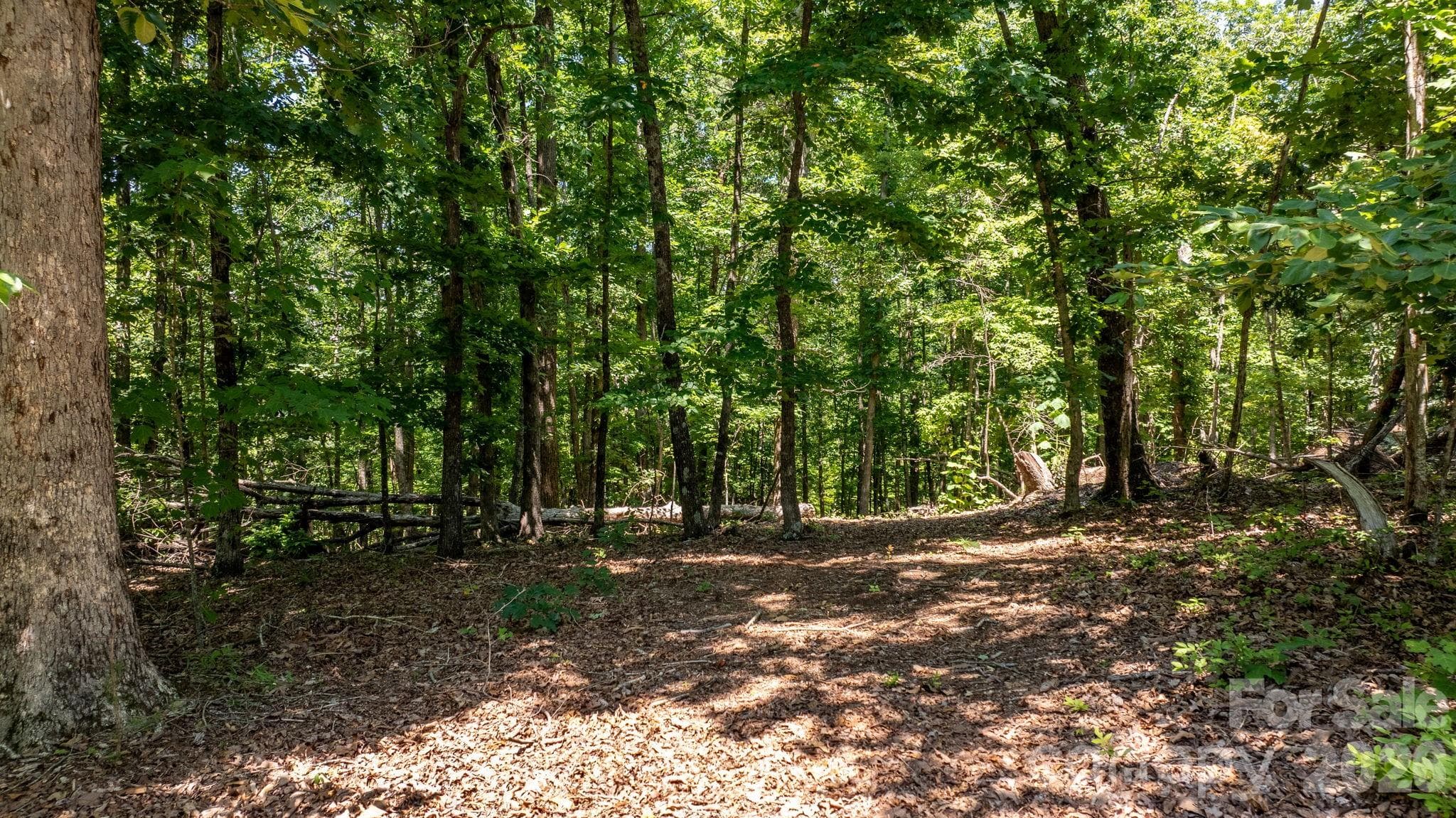 Lot at 152 Woodgate Trail, Nebo, photo 5 of 18