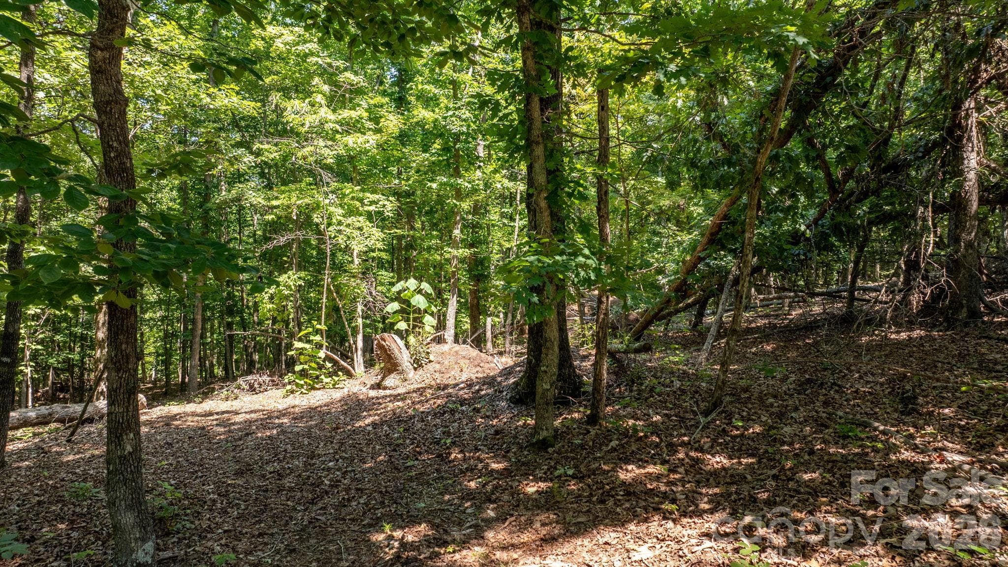 Lot at 152 Woodgate Trail, Nebo, photo 6 of 18
