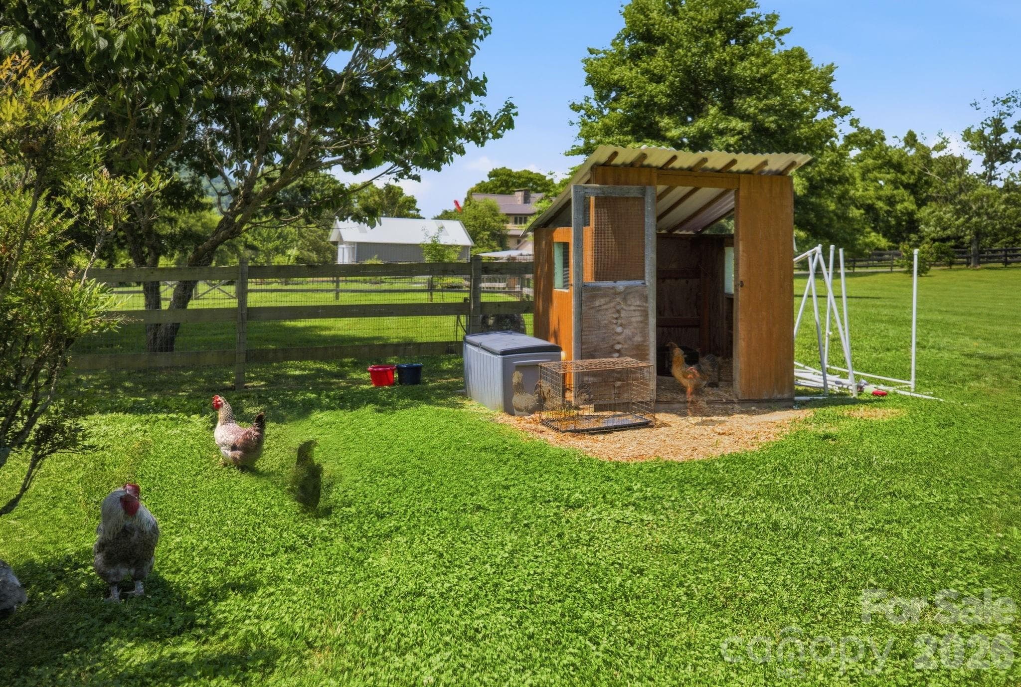 Chicken coop - 114 Cane Creek Ranch Drive, Fletcher
