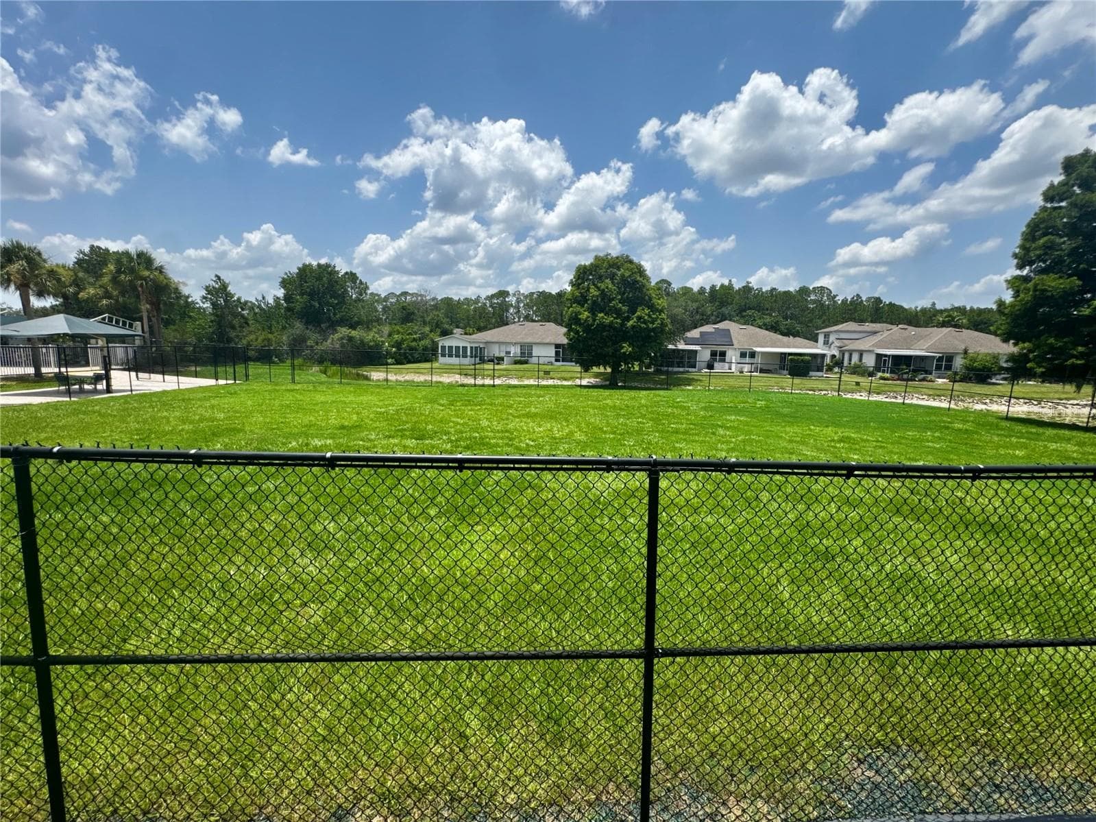 Dog park - 1033 BLACKWATER DR, WESLEY CHAPEL