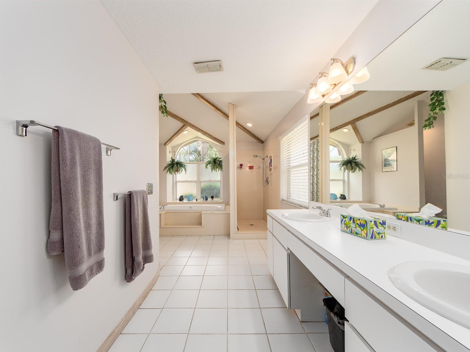 PRIMARY BATH - 2899 TURTLE TER, PALM HARBOR
