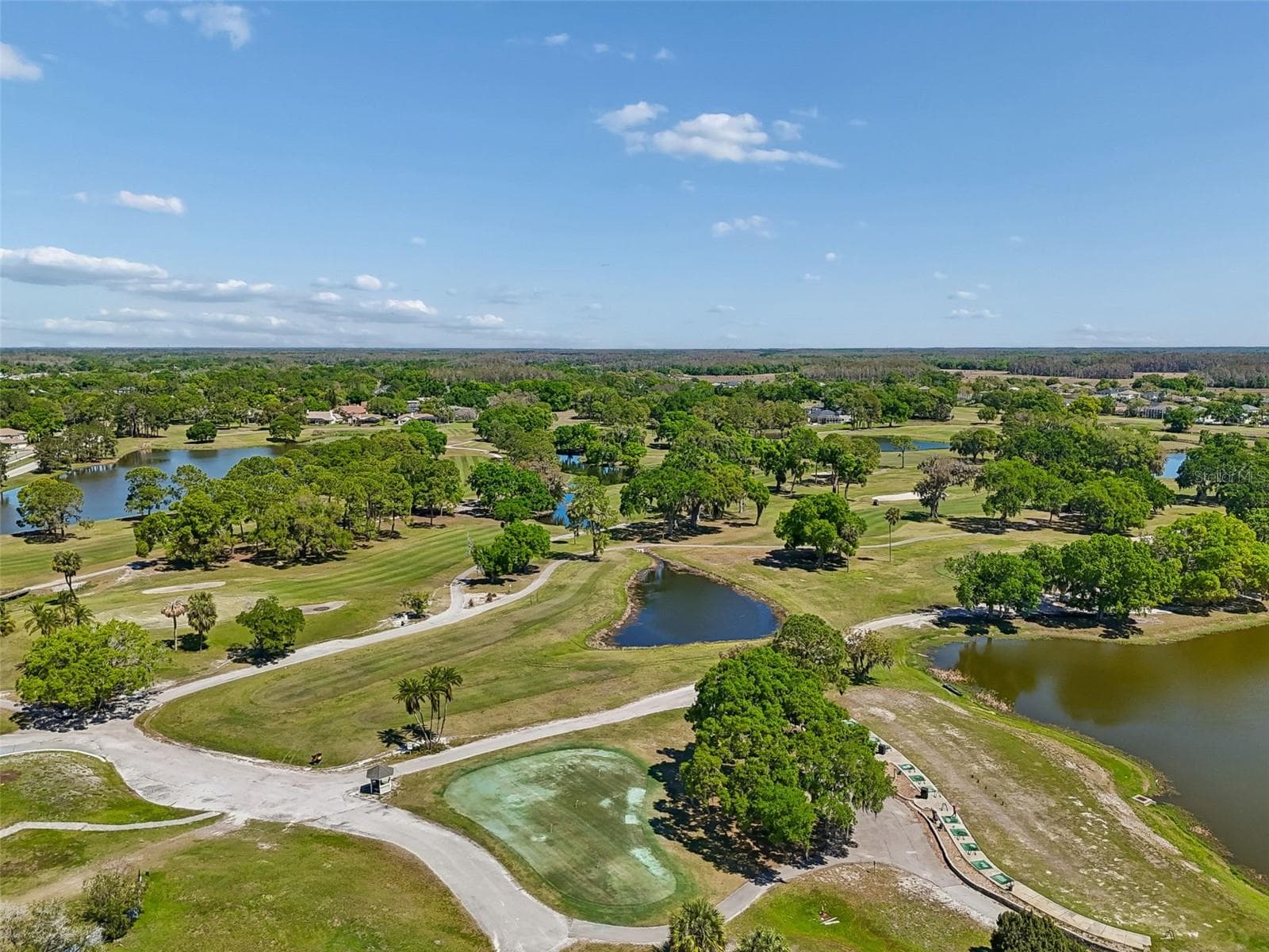 Single Family Residence at 12507 ASHDOWN DR, ODESSA, photo 102 of 105