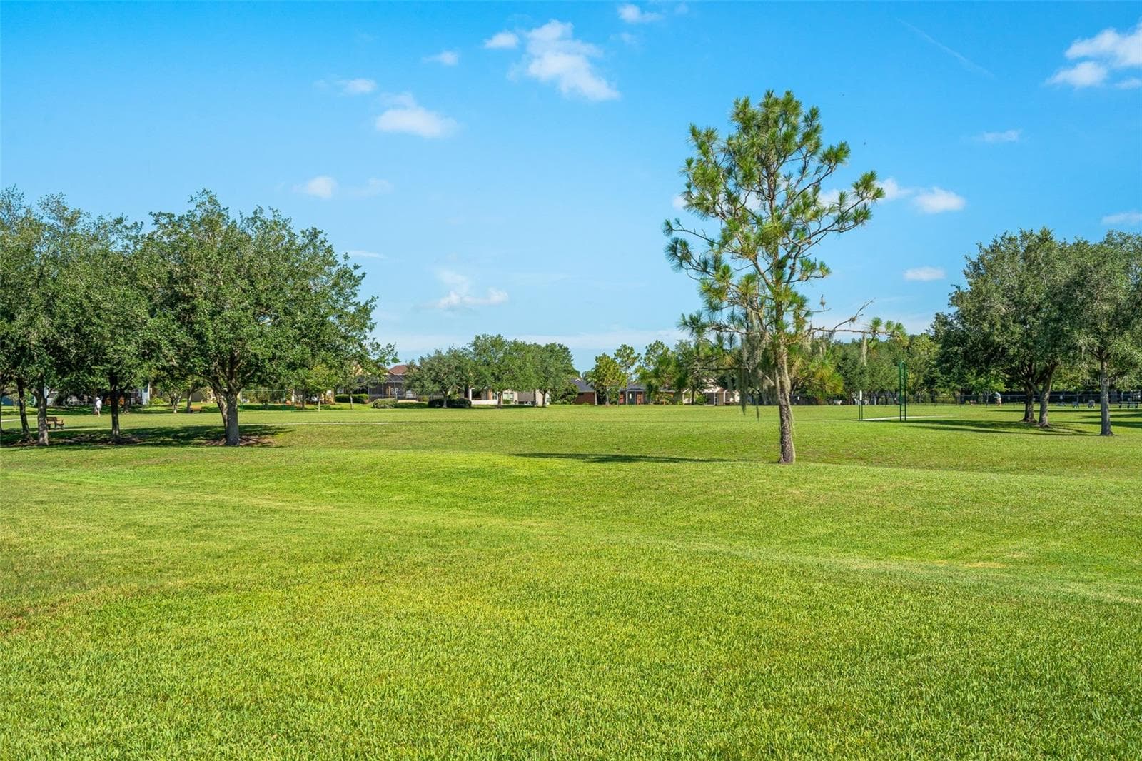 Single Family Residence at 34653 HEAVENLY LN, DADE CITY, photo 52 of 66