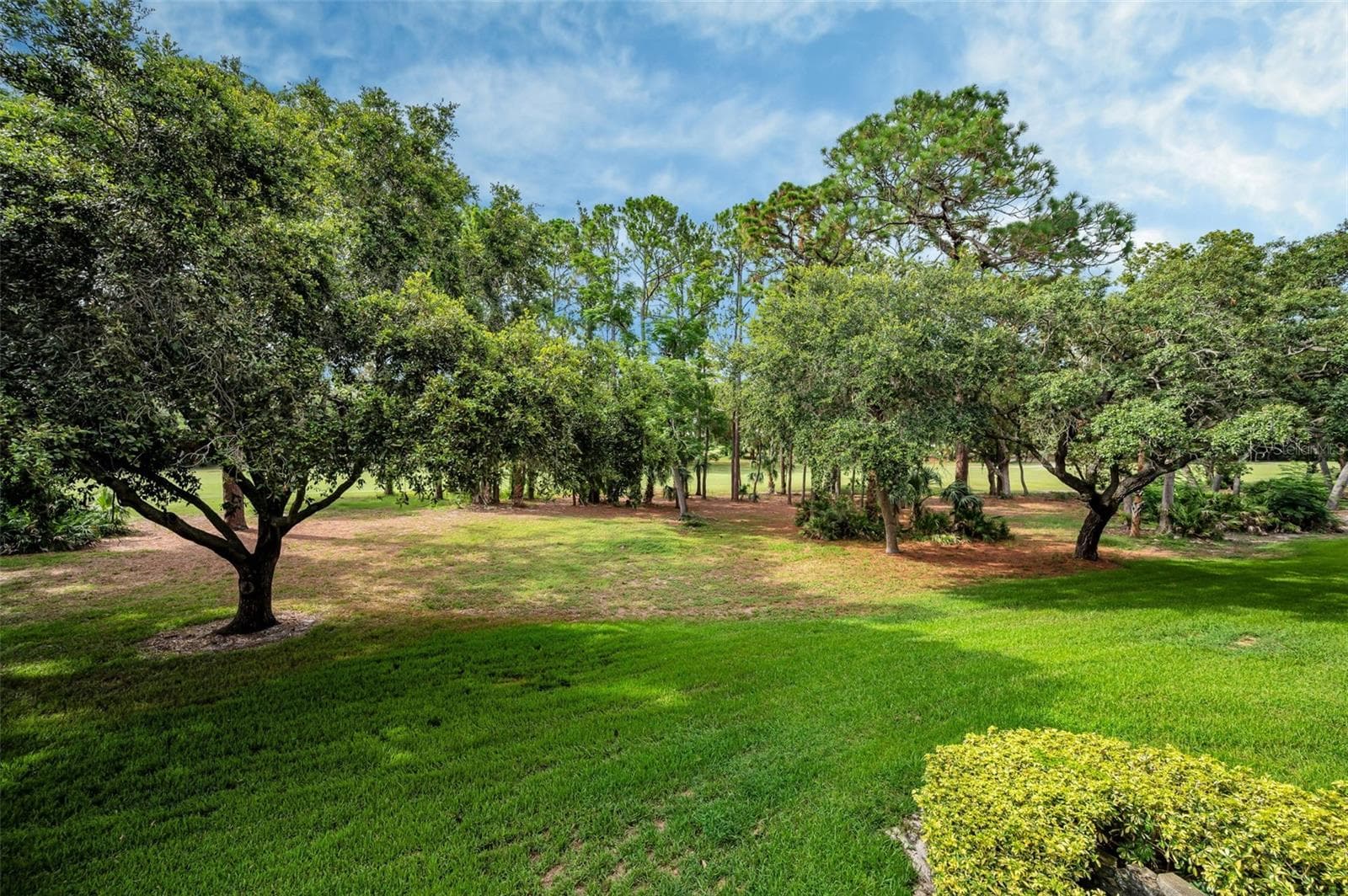 View From Balconey - 36750 US HIGHWAY 19 N #20-209, PALM HARBOR