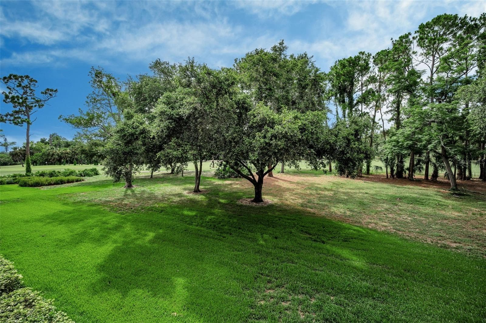 Condominium at 36750 US HIGHWAY 19 N #20-209, PALM HARBOR, photo 23 of 34