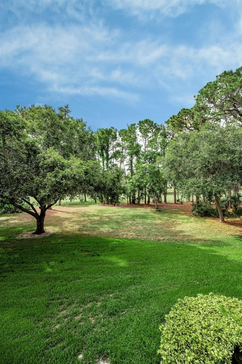 Condominium at 36750 US HIGHWAY 19 N #20-209, PALM HARBOR, photo 24 of 34