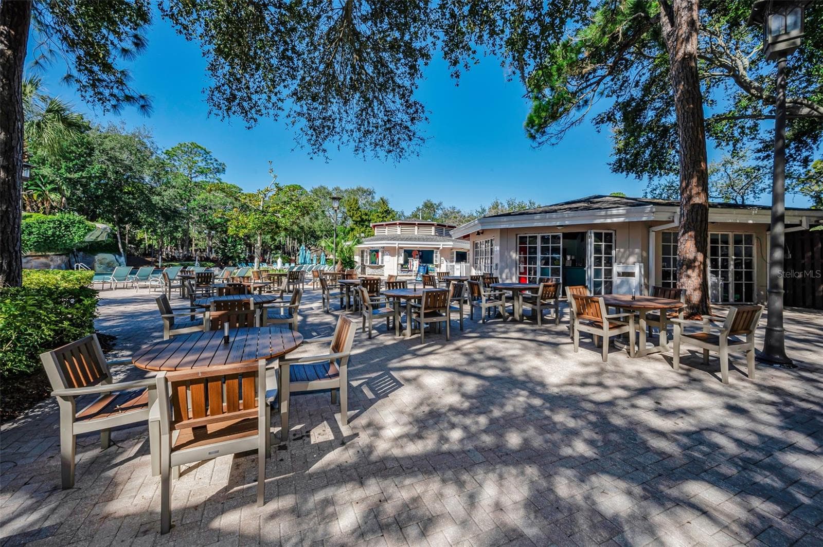 Lochness Pool - 36750 US HIGHWAY 19 N #20-209, PALM HARBOR