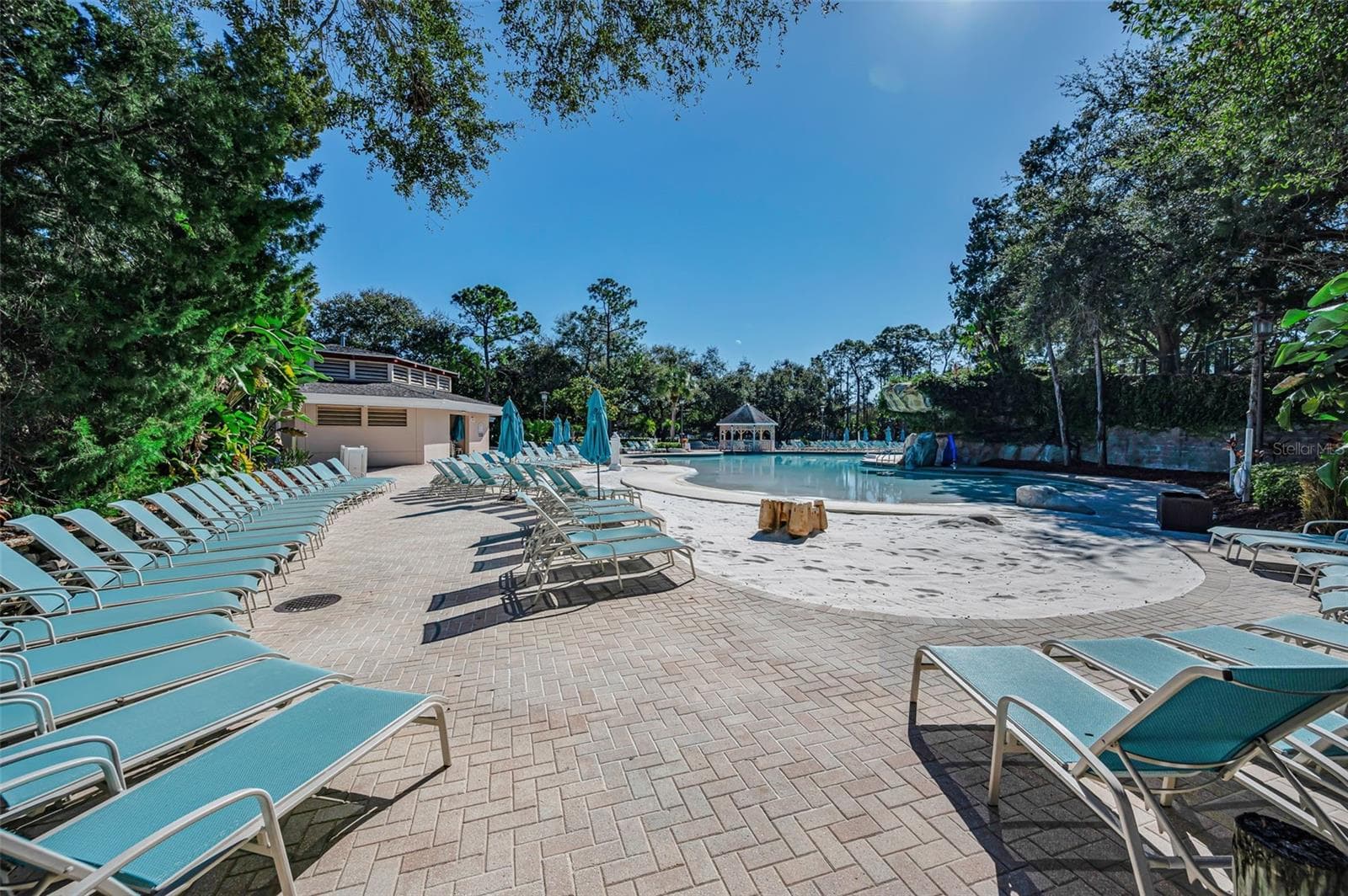 Zero Entry Pool - 36750 US HIGHWAY 19 N #20-209, PALM HARBOR