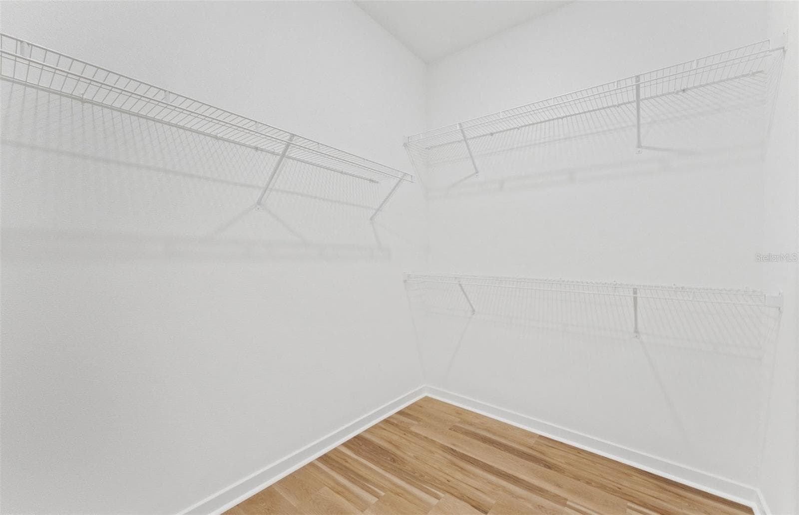 Model Representation - 13816 SUNLIGHT MEADOW DR, RIVERVIEW