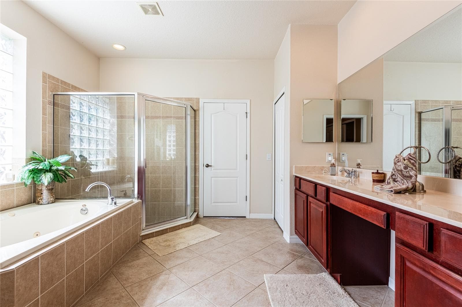 master bath downstairs - 14815 NINEBARK CT, LAND O LAKES